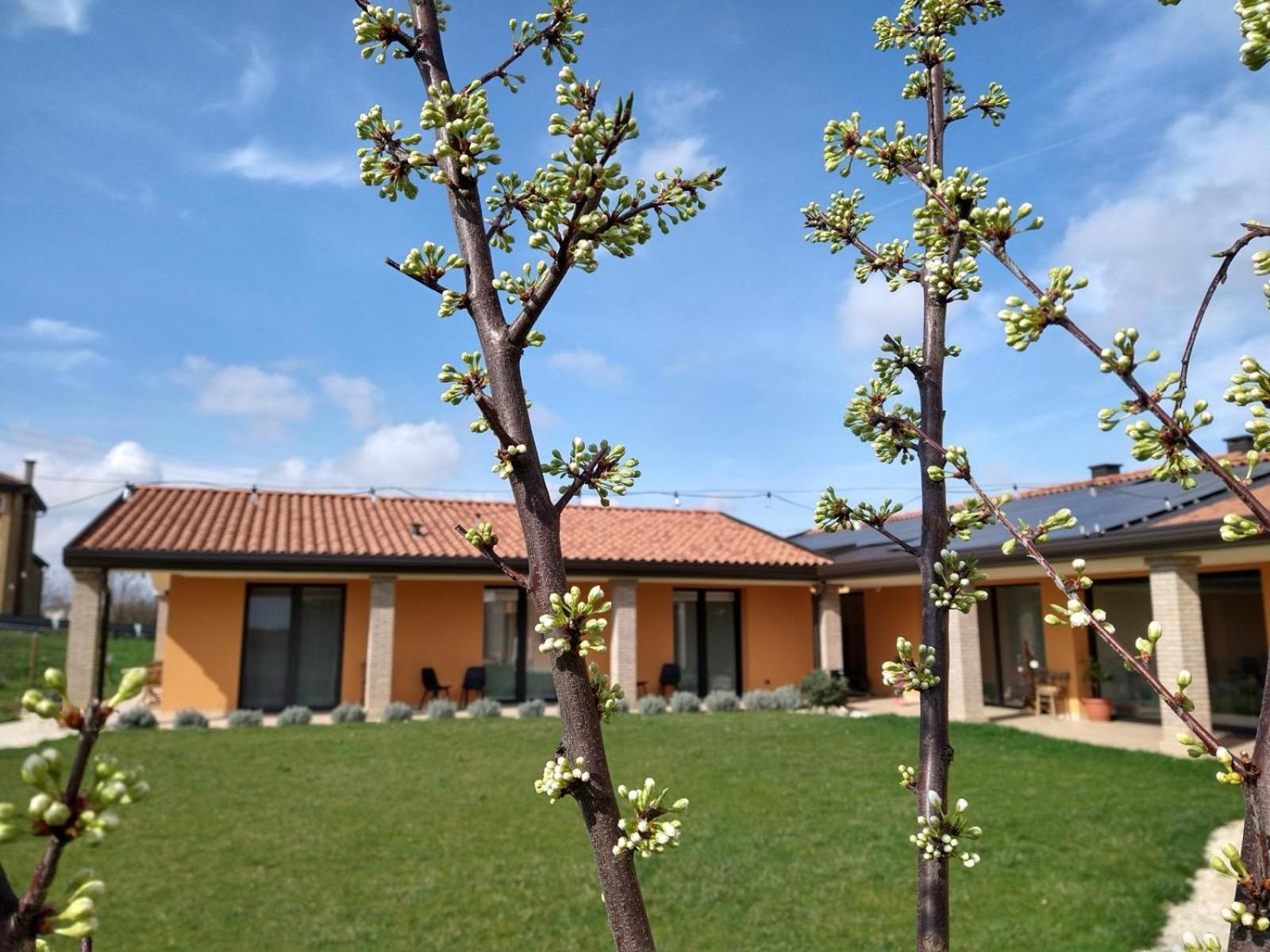 Agriturismo Verdecielo Padova Rom bilde