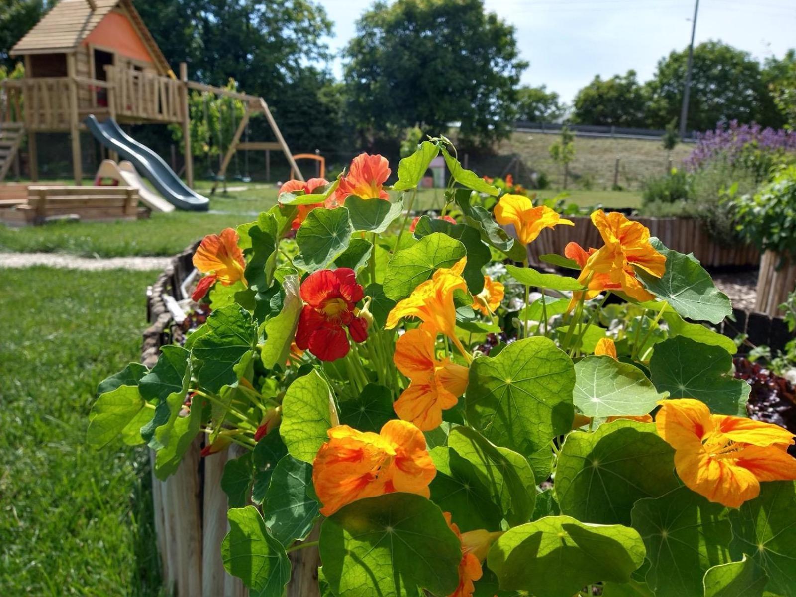Agriturismo Verdecielo Padova Eksteriør bilde